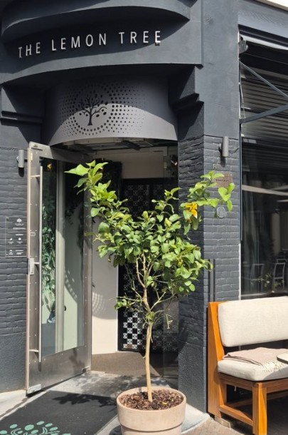 The Lemontree in Deventer